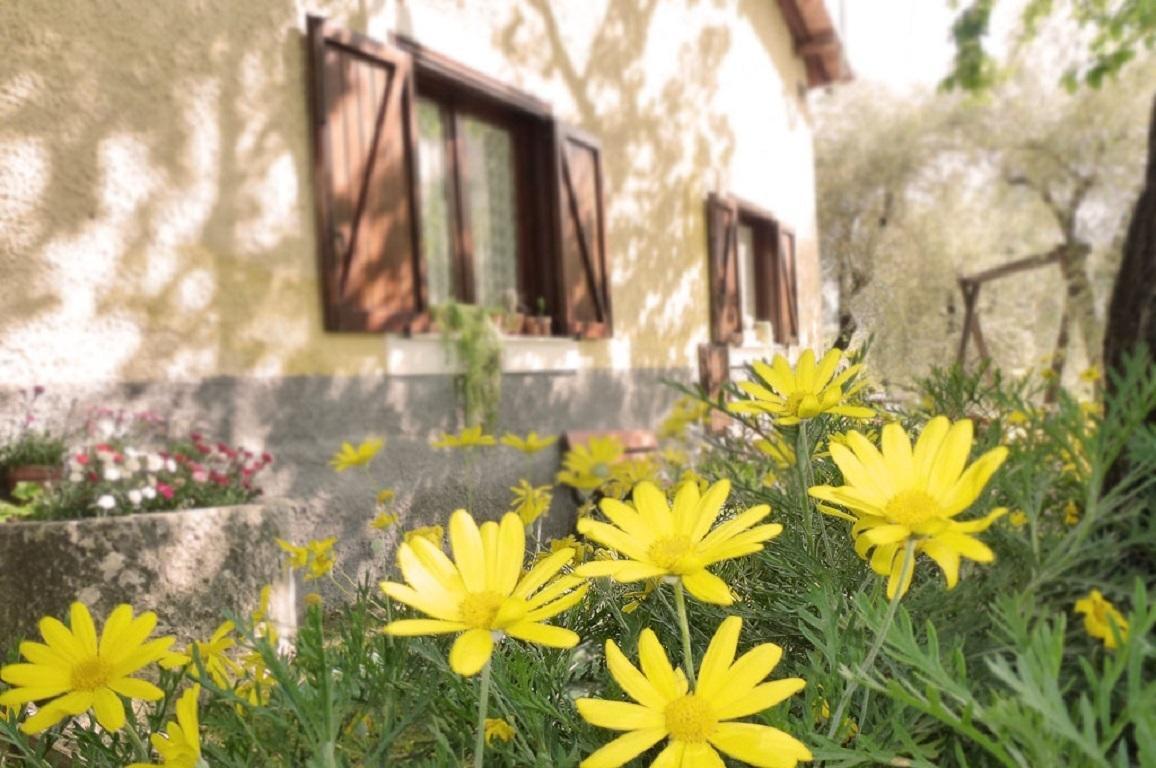 سالا كونسيلينا Agriturismo Macchiapiede المظهر الخارجي الصورة